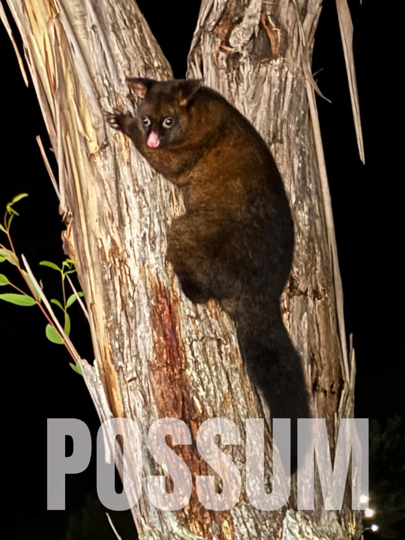 Strahan Wilderness Lodge Luaran gambar